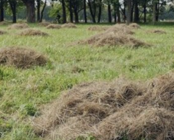 Les Défis Environnementaux au Maroc et les Solutions Durables pour les Entreprises